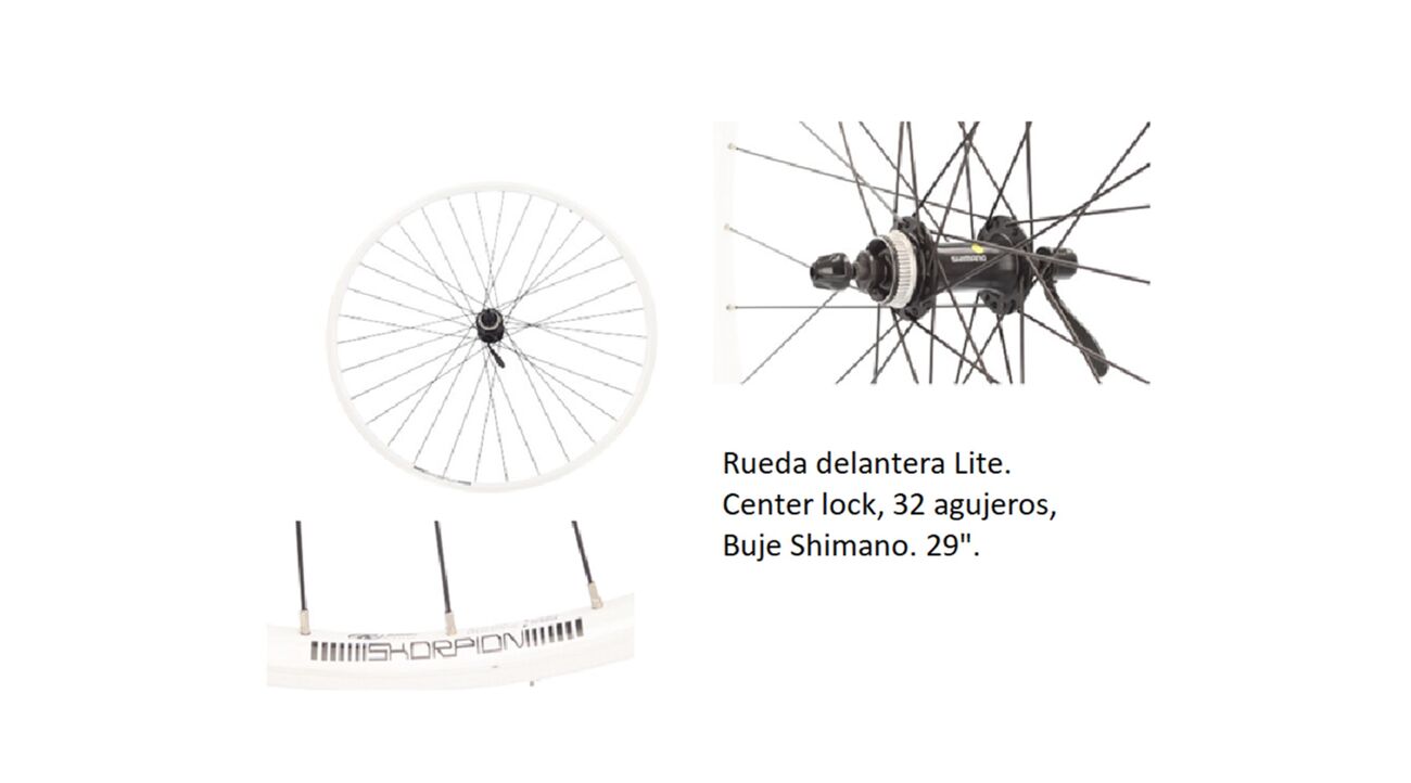 RUEDA DELANTERA 29 LITE BLANCA - BH Bikes