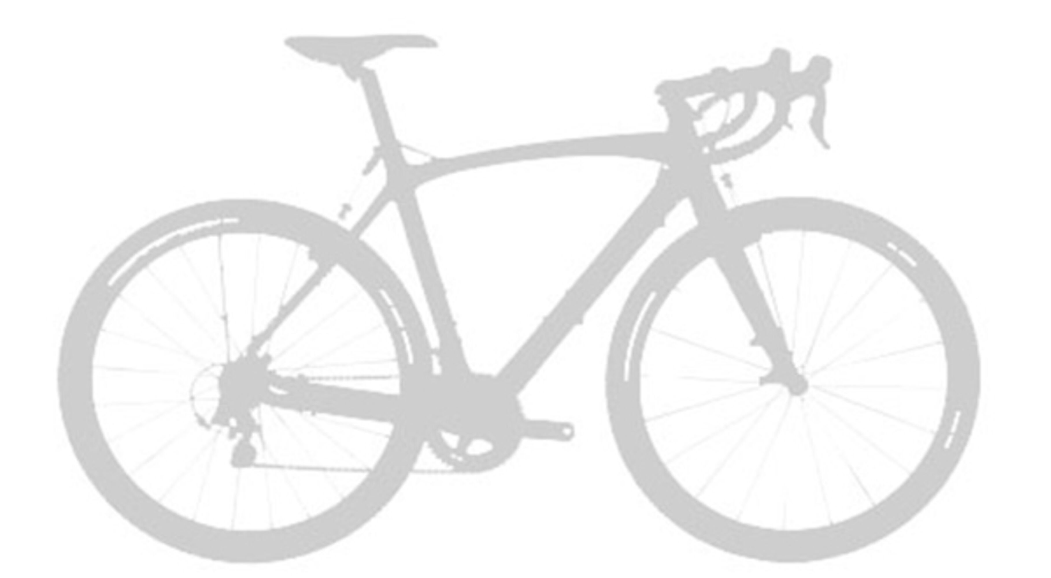 EVO 29 - BH Bikes