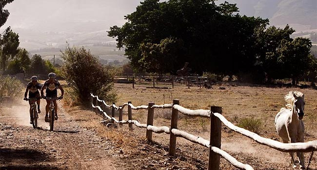 El BH Suntour es 29º tras la etapa más larga de la Cape Epic
